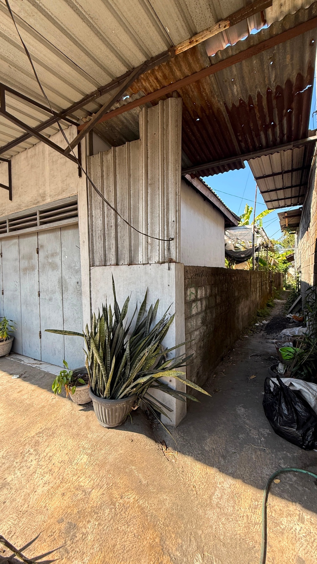 Gang samping dengan tanaman